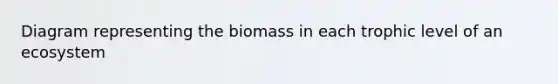 Diagram representing the biomass in each trophic level of an ecosystem