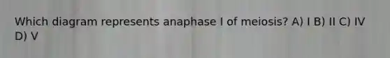 Which diagram represents anaphase I of meiosis? A) I B) II C) IV D) V