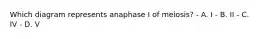 Which diagram represents anaphase I of meiosis? - A. I - B. II - C. IV - D. V