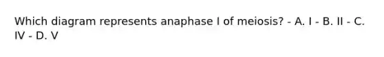 Which diagram represents anaphase I of meiosis? - A. I - B. II - C. IV - D. V