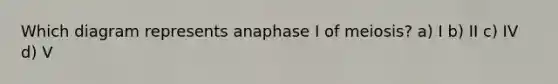 Which diagram represents anaphase I of meiosis? a) I b) II c) IV d) V