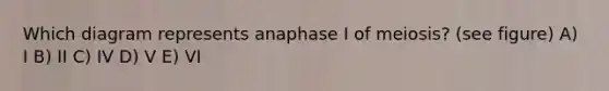 Which diagram represents anaphase I of meiosis? (see figure) A) I B) II C) IV D) V E) VI