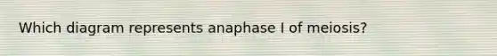 Which diagram represents anaphase I of meiosis?