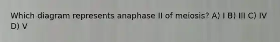 Which diagram represents anaphase II of meiosis? A) I B) III C) IV D) V