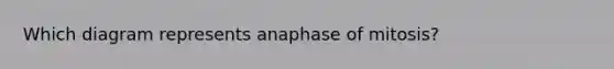 Which diagram represents anaphase of mitosis?