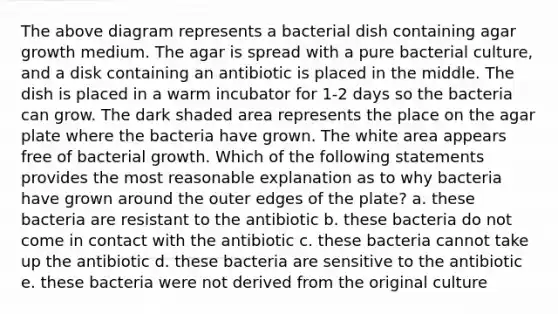 The above diagram represents a bacterial dish containing agar growth medium. The agar is spread with a pure bacterial culture, and a disk containing an antibiotic is placed in the middle. The dish is placed in a warm incubator for 1-2 days so the bacteria can grow. The dark shaded area represents the place on the agar plate where the bacteria have grown. The white area appears free of bacterial growth. Which of the following statements provides the most reasonable explanation as to why bacteria have grown around the outer edges of the plate? a. these bacteria are resistant to the antibiotic b. these bacteria do not come in contact with the antibiotic c. these bacteria cannot take up the antibiotic d. these bacteria are sensitive to the antibiotic e. these bacteria were not derived from the original culture