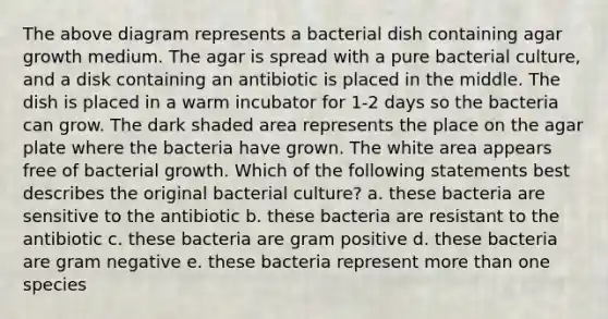 The above diagram represents a bacterial dish containing agar growth medium. The agar is spread with a pure bacterial culture, and a disk containing an antibiotic is placed in the middle. The dish is placed in a warm incubator for 1-2 days so the bacteria can grow. The dark shaded area represents the place on the agar plate where the bacteria have grown. The white area appears free of bacterial growth. Which of the following statements best describes the original bacterial culture? a. these bacteria are sensitive to the antibiotic b. these bacteria are resistant to the antibiotic c. these bacteria are gram positive d. these bacteria are gram negative e. these bacteria represent more than one species