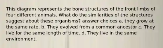 This diagram represents the <a href='https://www.questionai.com/knowledge/kgWuCNs0Fr-bone-structure' class='anchor-knowledge'>bone structure</a>s of the front limbs of four different animals. What do the similarities of the structures suggest about these organisms? answer choices a. they grow at the same rate. b. They evolved from a common ancestor c. They live for the same length of time. d. They live in the same environment.