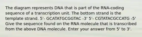 The diagram represents DNA that is part of the RNA-coding sequence of a transcription unit. The bottom strand is the template strand. 5'- GCATATGCGGTAC -3' 5'- CGTATACGCCATG -5' Give the sequence found on the RNA molecule that is transcribed from the above DNA molecule. Enter your answer from 5' to 3'.