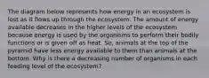 The diagram below represents how energy in an ecosystem is lost as it flows up through the ecosystem. The amount of energy available decreases in the higher levels of the ecosystem because energy is used by the organisms to perform their bodily functions or is given off as heat. So, animals at the top of the pyramid have less energy available to them than animals at the bottom. Why is there a decreasing number of organisms in each feeding level of the ecosystem?