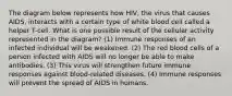 The diagram below represents how HIV, the virus that causes AIDS, interacts with a certain type of white blood cell called a helper T-cell. What is one possible result of the cellular activity represented in the diagram? (1) Immune responses of an infected individual will be weakened. (2) The red blood cells of a person infected with AIDS will no longer be able to make antibodies. (3) This virus will strengthen future immune responses against blood-related diseases. (4) Immune responses will prevent the spread of AIDS in humans.