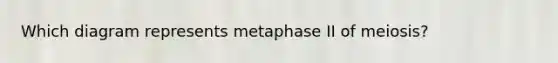 Which diagram represents metaphase II of meiosis?