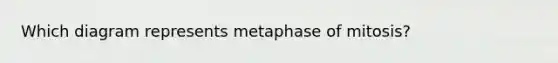 Which diagram represents metaphase of mitosis?