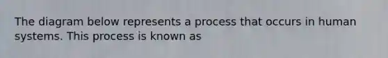 The diagram below represents a process that occurs in human systems. This process is known as