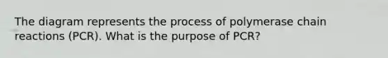 The diagram represents the process of polymerase chain reactions (PCR). What is the purpose of PCR?