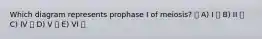 Which diagram represents prophase I of meiosis? A) I B) II C) IV D) V E) VI