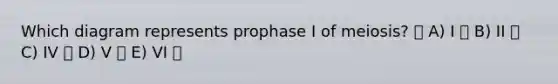 Which diagram represents prophase I of meiosis? A) I B) II C) IV D) V E) VI