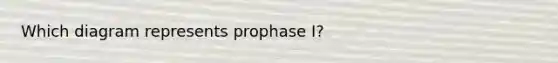 Which diagram represents prophase I?