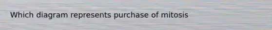 Which diagram represents purchase of mitosis