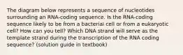 The diagram below represents a sequence of nucleotides surrounding an RNA-coding sequence. Is the RNA-coding sequence likely to be from a bacterial cell or from a eukaryotic cell? How can you tell? Which DNA strand will serve as the template strand during the transcription of the RNA coding sequence? (solution guide in textbook)