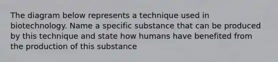 The diagram below represents a technique used in biotechnology. Name a specific substance that can be produced by this technique and state how humans have benefited from the production of this substance