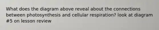 What does the diagram above reveal about the connections between photosynthesis and cellular respiration? look at diagram #5 on lesson review