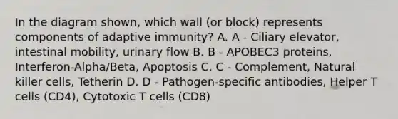 In the diagram shown, which wall (or block) represents components of adaptive immunity? A. A - Ciliary elevator, intestinal mobility, urinary flow B. B - APOBEC3 proteins, Interferon-Alpha/Beta, Apoptosis C. C - Complement, Natural killer cells, Tetherin D. D - Pathogen-specific antibodies, Helper T cells (CD4), Cytotoxic T cells (CD8)