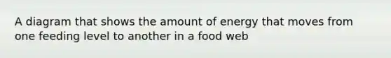 A diagram that shows the amount of energy that moves from one feeding level to another in a food web