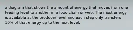 a diagram that shows the amount of energy that moves from one feeding level to another in a food chain or web. The most energy is available at the producer level and each step only transfers 10% of that energy up to the next level.