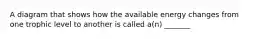 A diagram that shows how the available energy changes from one trophic level to another is called a(n) _______