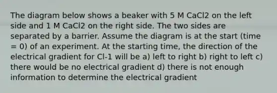 The diagram below shows a beaker with 5 M CaCl2 on the left side and 1 M CaCl2 on the right side. The two sides are separated by a barrier. Assume the diagram is at the start (time = 0) of an experiment. At the starting time, the direction of the electrical gradient for Cl-1 will be a) left to right b) right to left c) there would be no electrical gradient d) there is not enough information to determine the electrical gradient