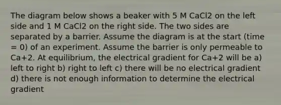 The diagram below shows a beaker with 5 M CaCl2 on the left side and 1 M CaCl2 on the right side. The two sides are separated by a barrier. Assume the diagram is at the start (time = 0) of an experiment. Assume the barrier is only permeable to Ca+2. At equilibrium, the electrical gradient for Ca+2 will be a) left to right b) right to left c) there will be no electrical gradient d) there is not enough information to determine the electrical gradient