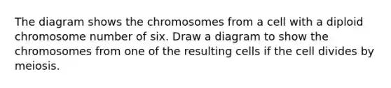 The diagram shows the chromosomes from a cell with a diploid chromosome number of six. Draw a diagram to show the chromosomes from one of the resulting cells if the cell divides by meiosis.