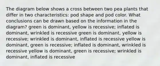 The diagram below shows a cross between two pea plants that differ in two characteristics: pod shape and pod color. What conclusions can be drawn based on the information in the diagram? green is dominant, yellow is recessive; inflated is dominant, wrinkled is recessive green is dominant, yellow is recessive; wrinkled is dominant, inflated is recessive yellow is dominant, green is recessive; inflated is dominant, wrinkled is recessive yellow is dominant, green is recessive; wrinkled is dominant, inflated is recessive