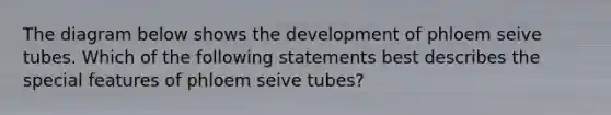 The diagram below shows the development of phloem seive tubes. Which of the following statements best describes the special features of phloem seive tubes?