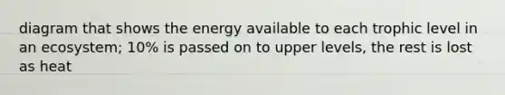 diagram that shows the energy available to each trophic level in an ecosystem; 10% is passed on to upper levels, the rest is lost as heat