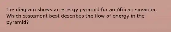 the diagram shows an energy pyramid for an African savanna. Which statement best describes the flow of energy in the pyramid?