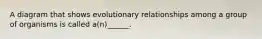 A diagram that shows evolutionary relationships among a group of organisms is called a(n)______.