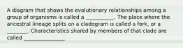 A diagram that shows the evolutionary relationships among a group of organisms is called a ___________. The place where the ancestral lineage splits on a cladogram is called a fork, or a ________. Characteristics shared by members of that clade are called ________________