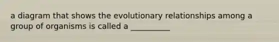 a diagram that shows the evolutionary relationships among a group of organisms is called a __________