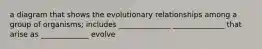 a diagram that shows the evolutionary relationships among a group of organisms; includes ______________ ______________ that arise as _____________ evolve