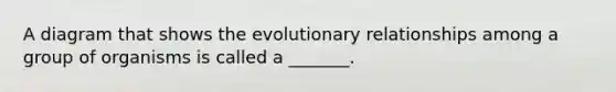 A diagram that shows the evolutionary relationships among a group of organisms is called a _______.