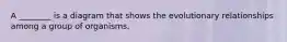 A ________ is a diagram that shows the evolutionary relationships among a group of organisms.