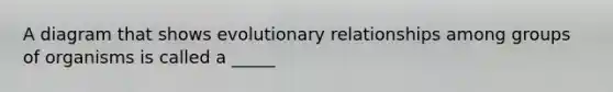 A diagram that shows evolutionary relationships among groups of organisms is called a _____