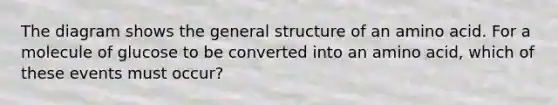 The diagram shows the general structure of an amino acid. For a molecule of glucose to be converted into an amino acid, which of these events must occur?