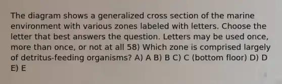 The diagram shows a generalized cross section of the marine environment with various zones labeled with letters. Choose the letter that best answers the question. Letters may be used once, <a href='https://www.questionai.com/knowledge/keWHlEPx42-more-than' class='anchor-knowledge'>more than</a> once, or not at all 58) Which zone is comprised largely of detritus-feeding organisms? A) A B) B C) C (bottom floor) D) D E) E