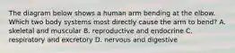 The diagram below shows a human arm bending at the elbow. Which two body systems most directly cause the arm to bend? A. skeletal and muscular B. reproductive and endocrine C. respiratory and excretory D. nervous and digestive