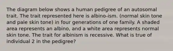 The diagram below shows a human pedigree of an autosomal trait. The trait represented here is albino-ism. (normal skin tone and pale skin tone) in four generations of one family. A shaded area represents an albino, and a white area represents normal skin tone. The trait for albinism is recessive. What is true of individual 2 in the pedigree?