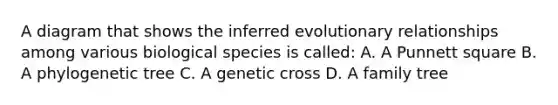 A diagram that shows the inferred evolutionary relationships among various biological species is called: A. A Punnett square B. A phylogenetic tree C. A genetic cross D. A family tree