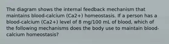 The diagram shows the internal feedback mechanism that maintains blood-calcium (Ca2+) homeostasis. If a person has a blood-calcium (Ca2+) level of 8 mg/100 mL of blood, which of the following mechanisms does the body use to maintain blood-calcium homeostasis?